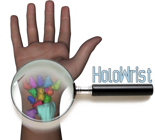 HoloWrist Logo Large